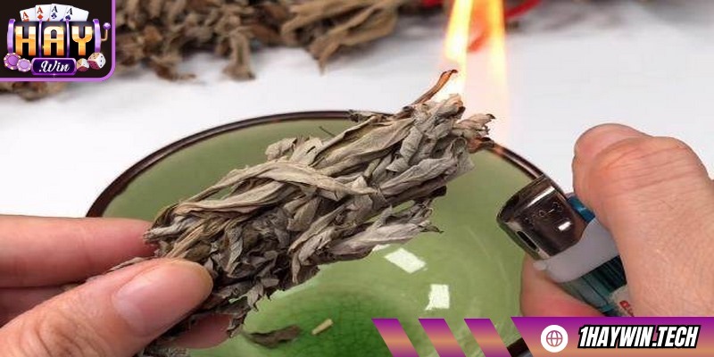 Ngải cứu có thể xua đuổi vận khí xấu