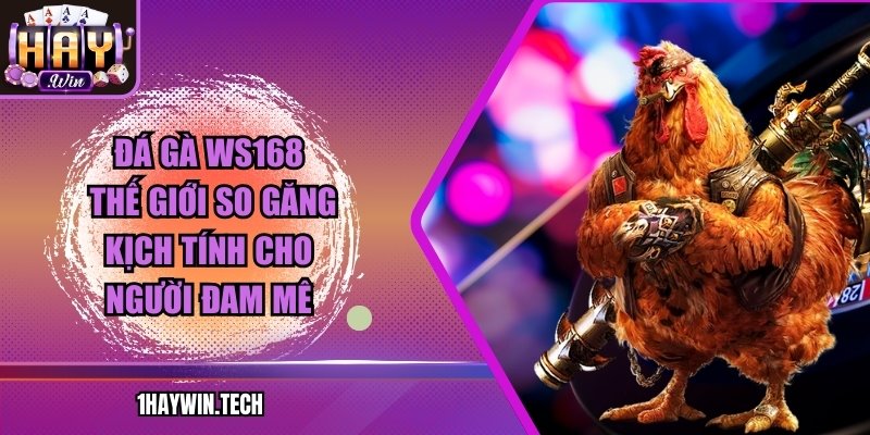 Đá gà WS168 – Thế Giới So Găng Kịch Tính Cho Người Đam Mê