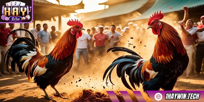 Tái hiện trọn vẹn những pha ra đòn mãn nhãn