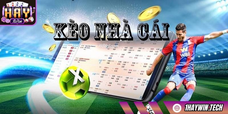 Kinh nghiệm chọn kèo HAYWIN chuẩn xác luôn cần thiết