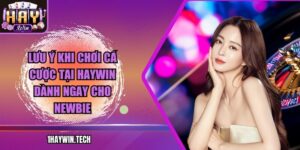 Lưu ý khi chơi cá cược tại HAYWIN dành ngay cho newbie