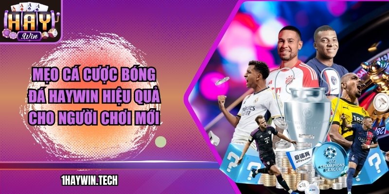 Mẹo cá cược bóng đá HAYWIN hiệu quả cho người chơi mới