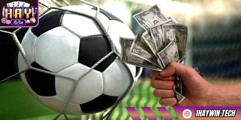 Anh em đừng quên chú ý tới những chương trình ưu đãi