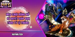 Mẹo Chơi Rồng Hổ – Bí Quyết Giúp Bạn Tăng Tỷ Lệ Thắng