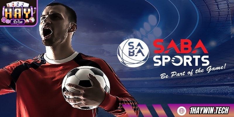 Kinh nghiệm cược Saba Sports hiệu quả