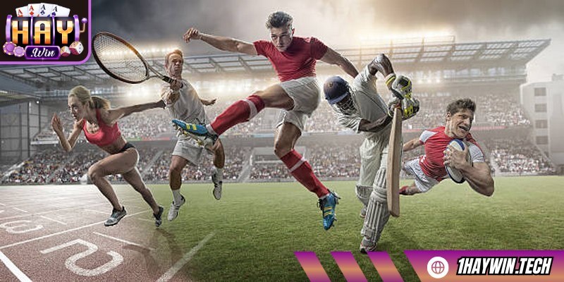 Sự đa dạng này bạn tìm được đúng niềm đam mê của mình.