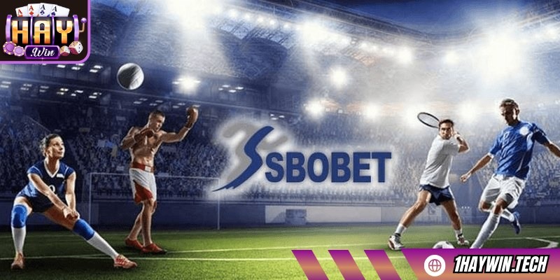 SBO sport - Cái tên quen thuộc trong lĩnh vực cá độ