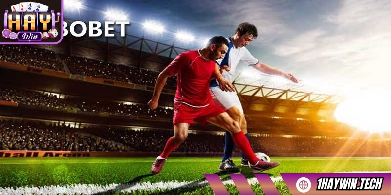 Giao diện sảnh cược SBO trực quan, dễ thao tác