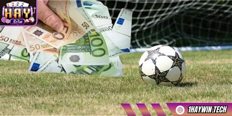 Thể thao SBO mang đến đa dạng các hình thức đặt cược