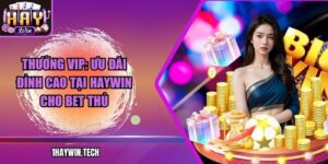 Thưởng Vip: Ưu đãi đỉnh cao tại HAYWIN cho bet thủ