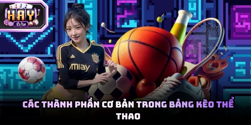 Các thành phần cơ bản trong bảng kèo thể thao cho bạn 2026