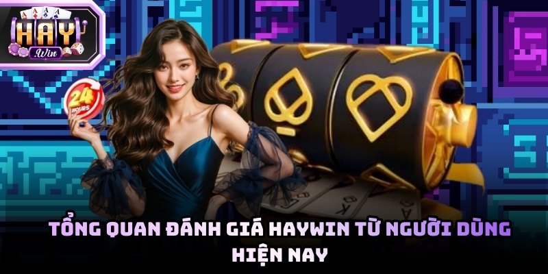 Tổng hợp phản hồi thực tế của người dùng khi trải nghiệm Haywin