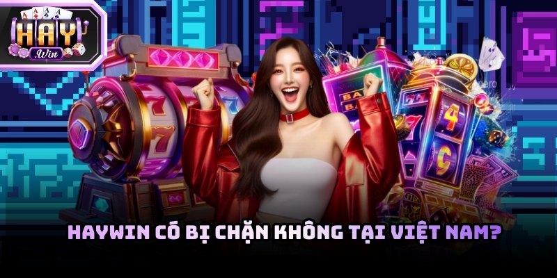 Tình trạng truy cập Haywin không ổn định khiến nhiều người dùng nhầm lẫn