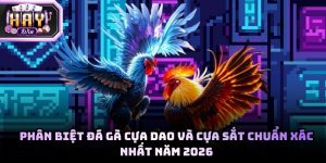 Phân biệt đá gà cựa dao và cựa sắt