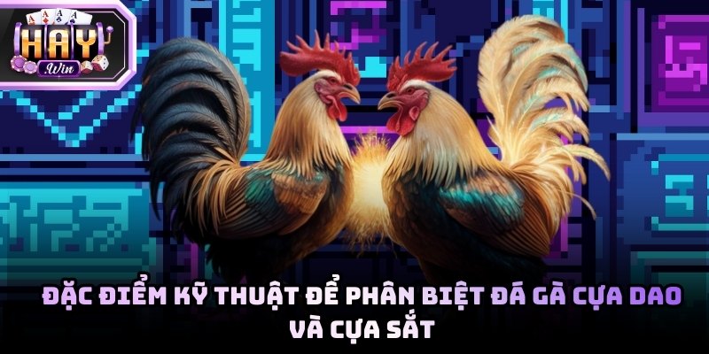 Cấu tạo của vũ khí là yếu tố quyết định đến tính chất khốc liệt của trận đấu